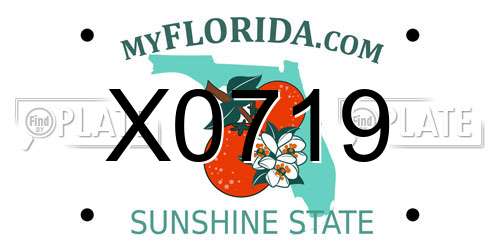 X0719 Florida License Plate