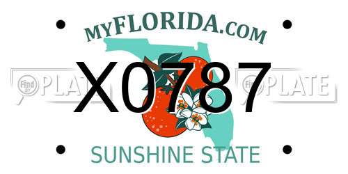 X0787 Florida License Plate