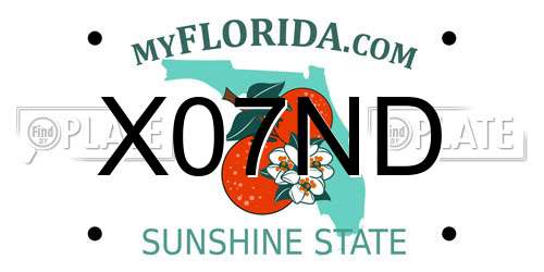 X07ND Florida License Plate