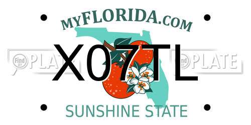 X07TL Florida License Plate