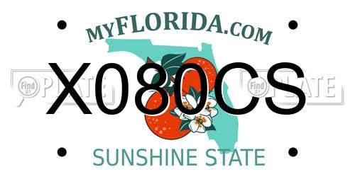 X080CS Florida License Plate