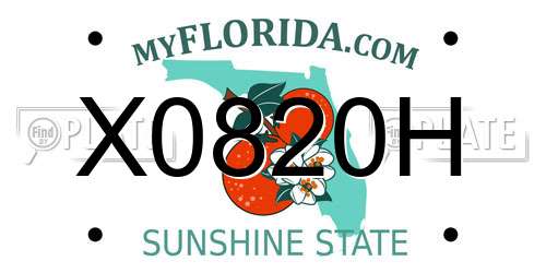 X0820H Florida License Plate