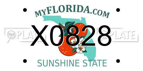 X0828 Florida License Plate