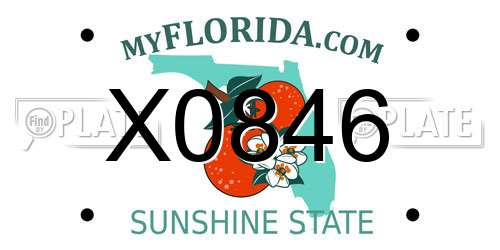 X0846 Florida License Plate