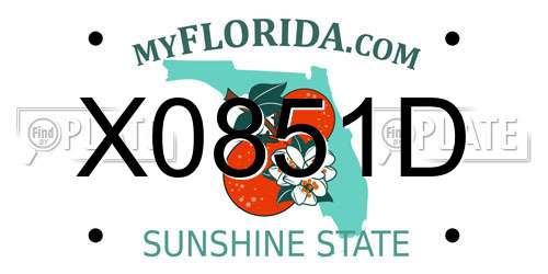 X0851D Florida License Plate
