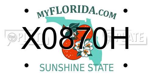 X0870H Florida License Plate