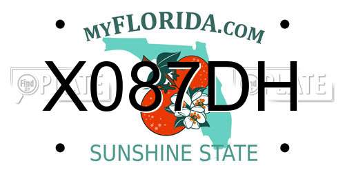 X087DH Florida License Plate