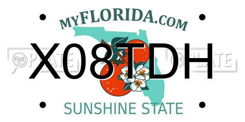 X08TDH Florida License Plate