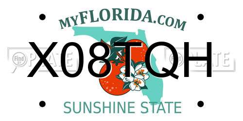 X08TQH Florida License Plate