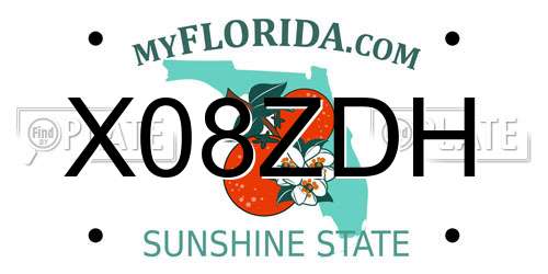 X08ZDH Florida License Plate