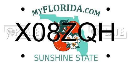 X08ZQH Florida License Plate
