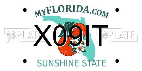 X09IT Florida License Plate