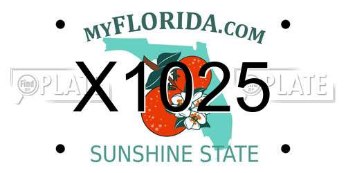 X1025 Florida License Plate