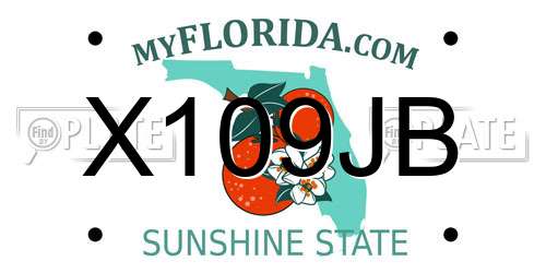 X109JB Florida License Plate
