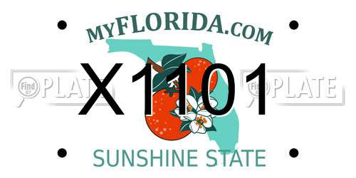 X1101 Florida License Plate