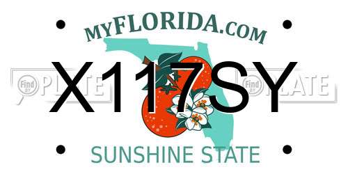 X117SY Florida License Plate