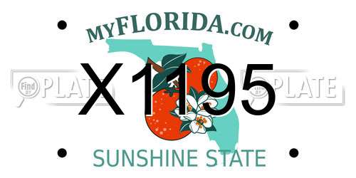 X1195 Florida License Plate