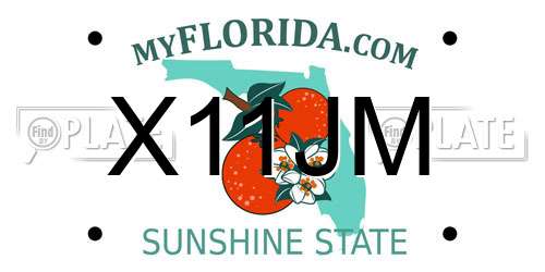 X11JM Florida License Plate