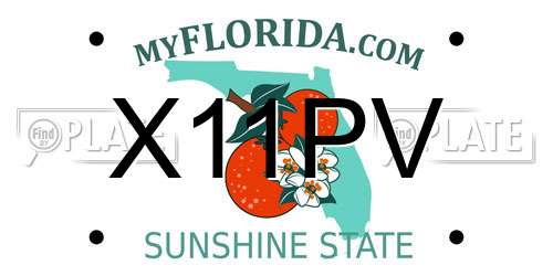 X11PV Florida License Plate