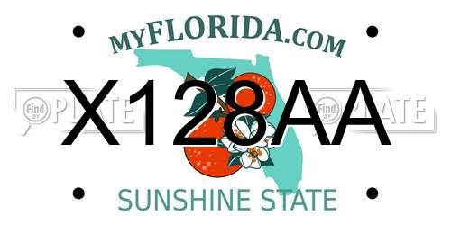 X128AA Florida License Plate