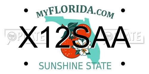 X12SAA Florida License Plate