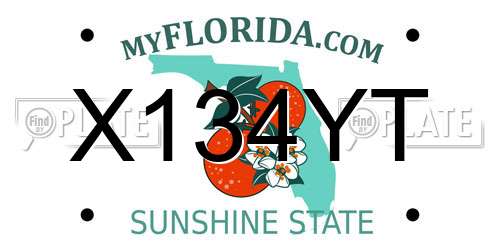 X134YT Florida License Plate