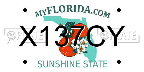 X137CY Florida License Plate