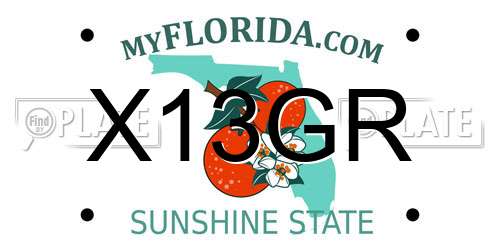 X13GR Florida License Plate