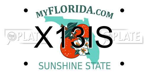 X13IS Florida License Plate