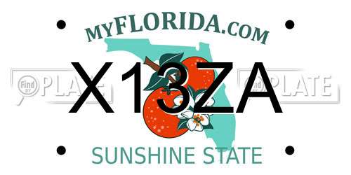 X13ZA Florida License Plate