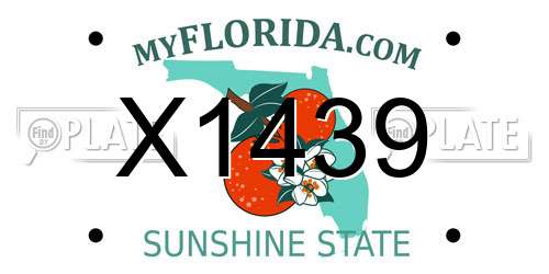 X1439 Florida License Plate