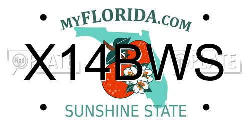 X14BWS Florida License Plate
