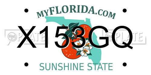 X153GQ Florida License Plate