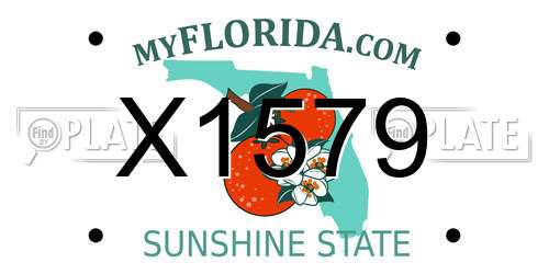X1579 Florida License Plate