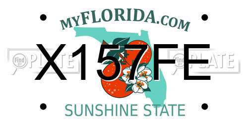 X157FE Florida License Plate