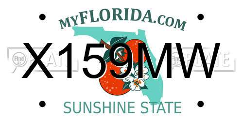 X159MW Florida License Plate