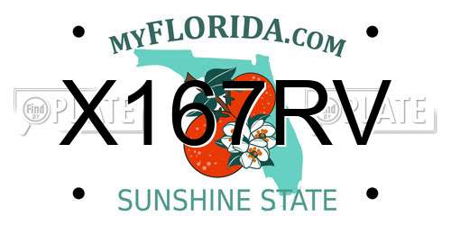 X167RV Florida License Plate