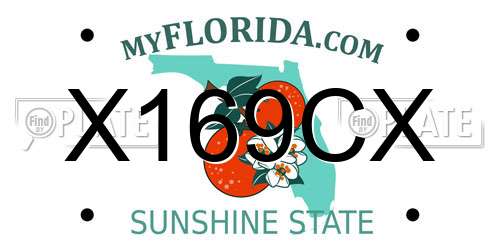X169CX Florida License Plate