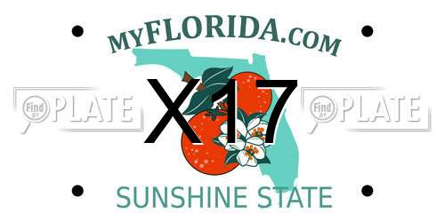 X17 Florida License Plate