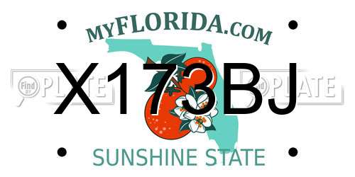 X173BJ Florida License Plate
