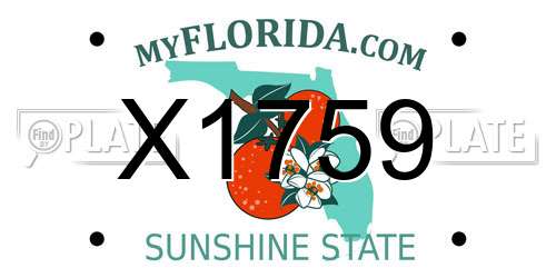 X1759 Florida License Plate
