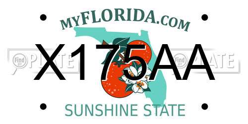 X175AA Florida License Plate