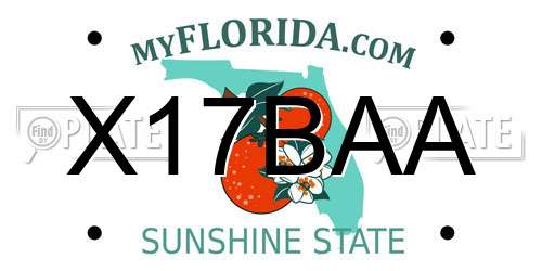 X17BAA Florida License Plate