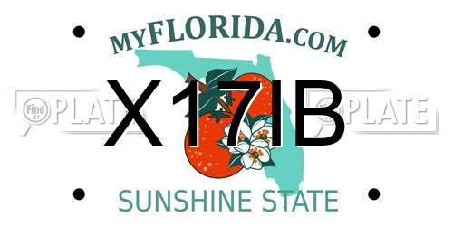 X17IB Florida License Plate