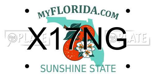 X17NG Florida License Plate