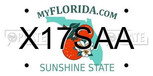 X17SAA Florida License Plate