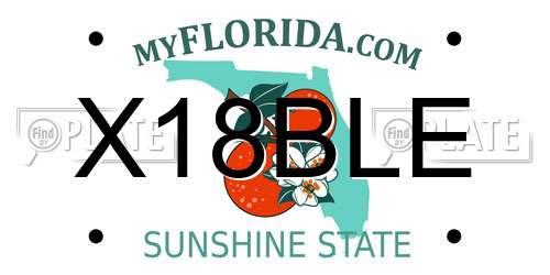 X18BLE Florida License Plate