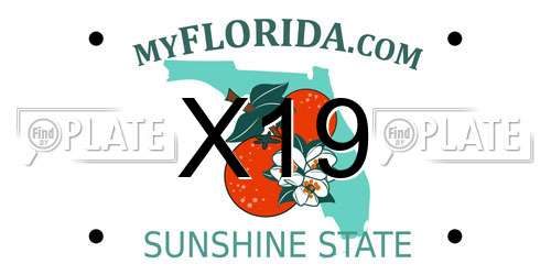 X19 Florida License Plate