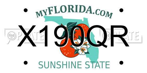 X190QR Florida License Plate