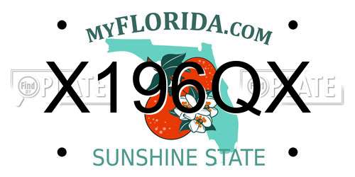 X196QX Florida License Plate